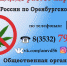 В Новотроицке проходит  операция «Мак-2021» - Гвардеец труда
