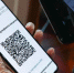 Новогодние корпоративы в Оренбуржье разрешены только при наличии QR-кода - Гвардеец труда