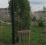 Буйная растительность – не для аллей - Гвардеец труда