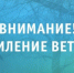 Рекомендации гражданам при усилении ветра - Город Новотроицк
