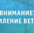 Рекомендации гражданам при усилении ветра - Город Новотроицк