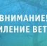Рекомендации гражданам при усилении ветра - Город Новотроицк