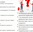 Красные флаги при выборе работодателя и фразы 'РЭД ФЛАГИ' от работодателя - Город Новотроицк